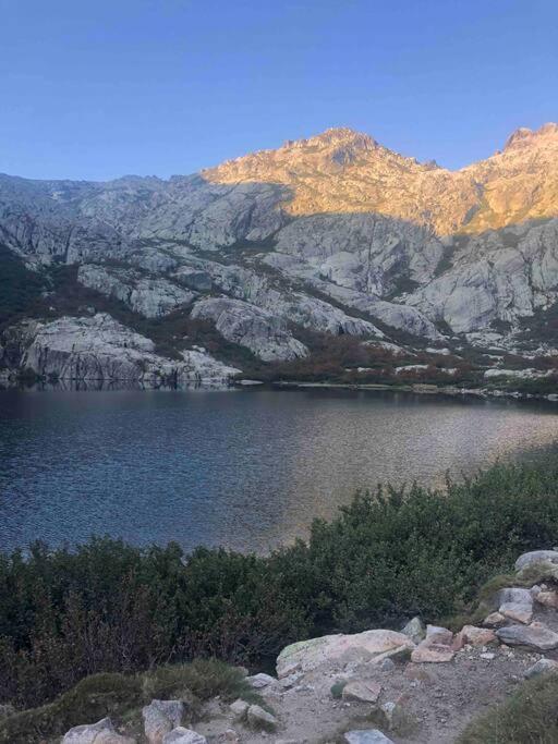 Appartement Au Coeur De La Ville كورتي المظهر الخارجي الصورة
